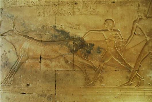 Click for large image